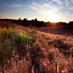 In Veluwe Peaceful Retreat Holiday home