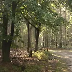 In Veluwe Peaceful Retreat *