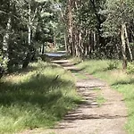 In Veluwe Peaceful Retreat * Voorthuizen