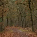 Holiday home In Veluwe Peaceful Retreat