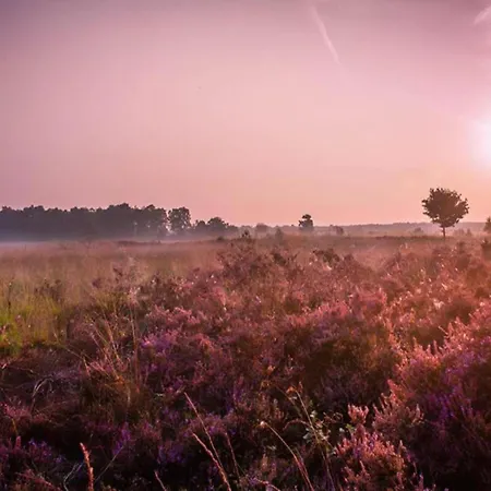In Veluwe Peaceful Retreat Nyaraló Voorthuizen