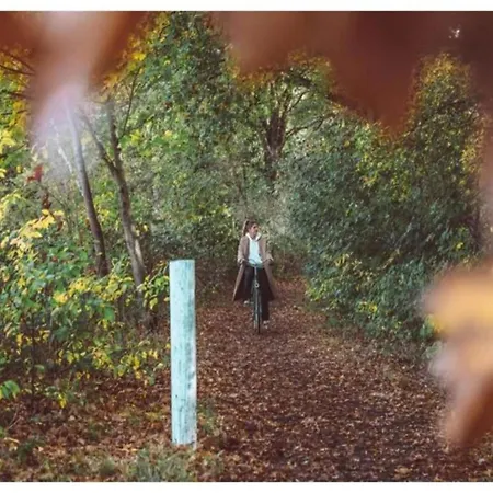 In Veluwe Peaceful Retreat