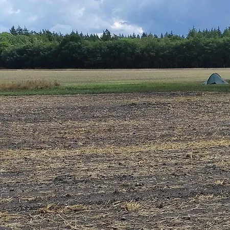 Holiday home In Veluwe Peaceful Retreat *