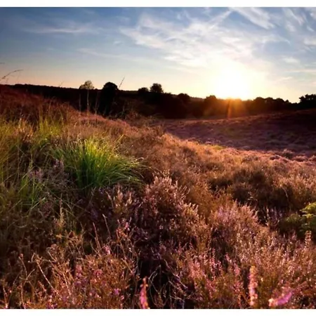 In Veluwe Peaceful Retreat Voorthuizen
