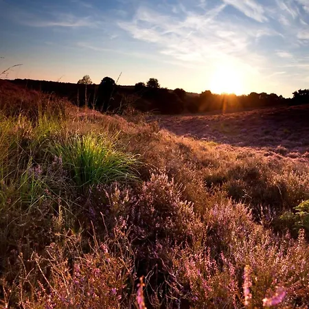 In Veluwe Peaceful Retreat Nyaraló