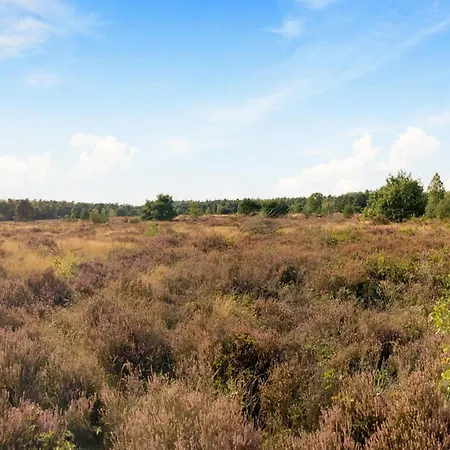 In Veluwe Peaceful Retreat Voorthuizen