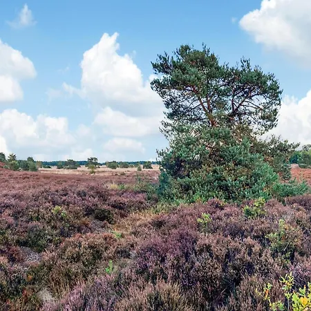 In Veluwe Peaceful Retreat * Voorthuizen