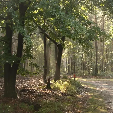 In Veluwe Peaceful Retreat *