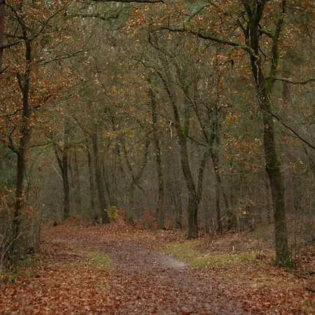 Nyaraló In Veluwe Peaceful Retreat