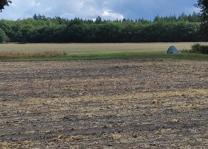 Σπίτι διακοπών In Veluwe Peaceful Retreat *