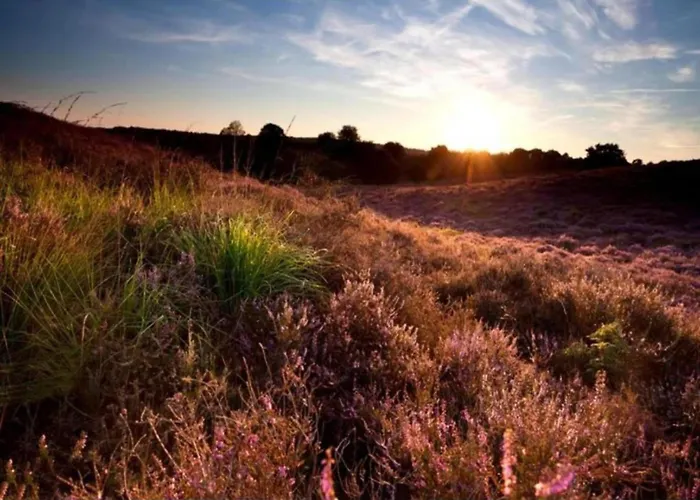 In Veluwe Peaceful Retreat Voorthuizen