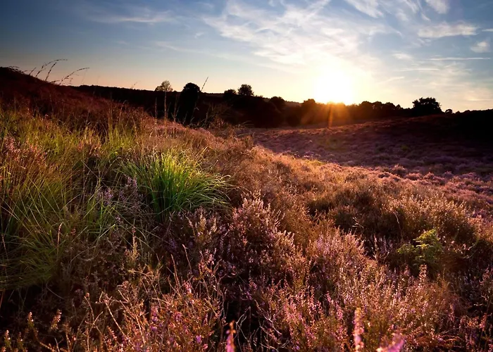 In Veluwe Peaceful Retreat Holiday home