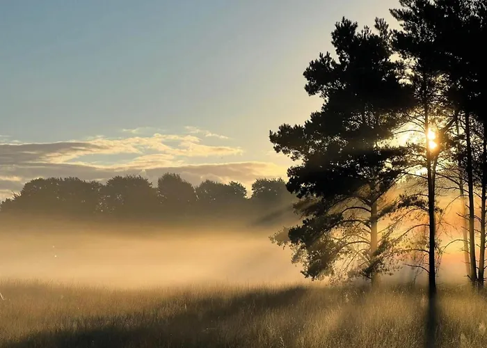 Holiday home In Veluwe Peaceful Retreat *