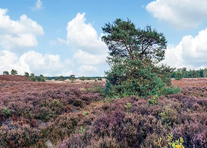 In Veluwe Peaceful Retreat * Voorthuizen