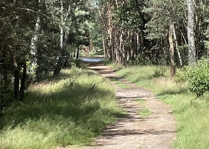 In Veluwe Peaceful Retreat * Voorthuizen