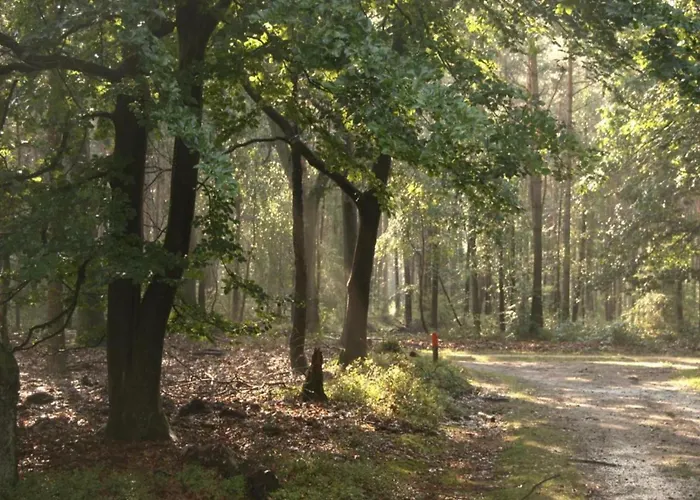 In Veluwe Peaceful Retreat *